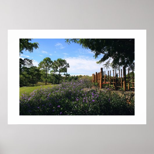 Bamboe Fence Perspective Poster (Voorkant)