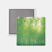 Bamboe Forest 2 Magneet (Voorkant / Achterkant)