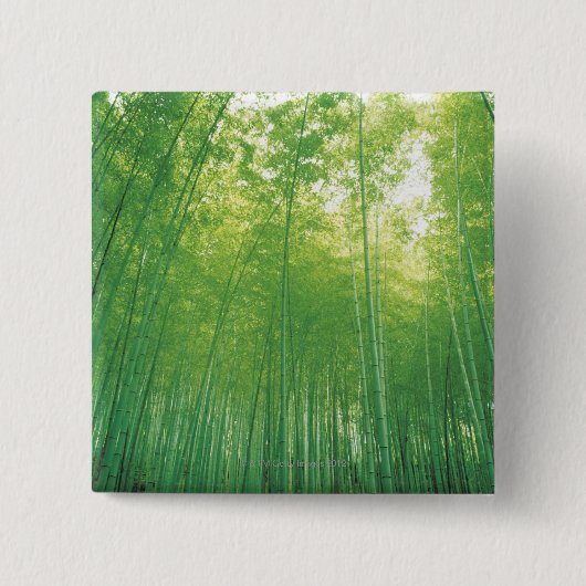 Bamboe Forest 2 Vierkante Button 5,1 Cm (Voorkant)