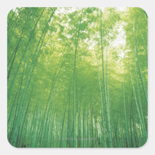 Bamboe Forest 2 Vierkante Sticker