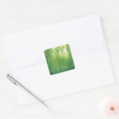 Bamboe Forest 2 Vierkante Sticker (Envelop)