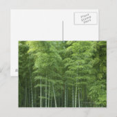 Bamboe Forest Briefkaart (Voorkant / Achterkant)