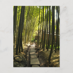 Bamboe Forest Briefkaart