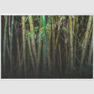 Bamboe Forest Decoupage 11 Background 2 Tissuepapier