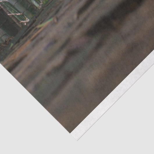 Bamboe Forest Decoupage 12 Background Tissuepapier (Detail)