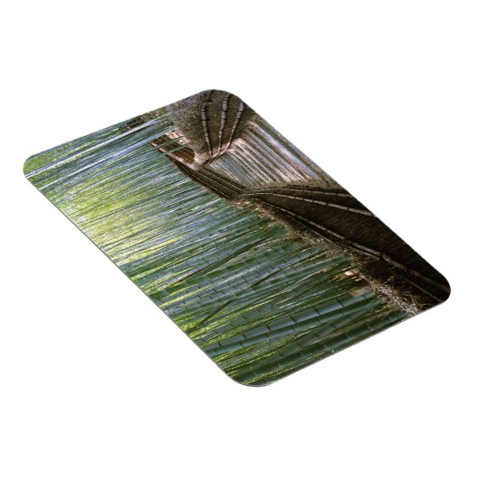 Bamboe Forest in Kyoto Magneet (Rechterzijde)