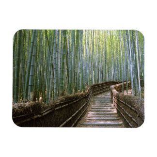 Bamboe Forest in Kyoto Magneet