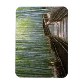 Bamboe Forest in Kyoto Magneet (Verticaal)