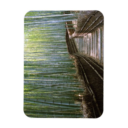 Bamboe Forest in Kyoto Magneet (Verticaal)