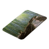 Bamboe Forest in Kyoto Magneet (Linkerzijde)