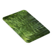 Bamboe Forest Magneet (Rechterzijde)