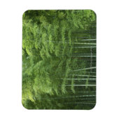 Bamboe Forest Magneet (Verticaal)