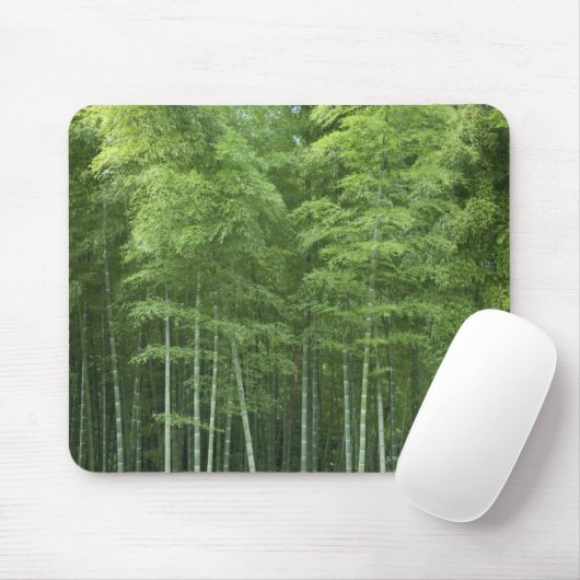 Bamboe Forest Muismat (Met muis)