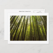 Bamboe Forest of Sagano, Briefkaart van Kyoto (Voorkant / Achterkant)