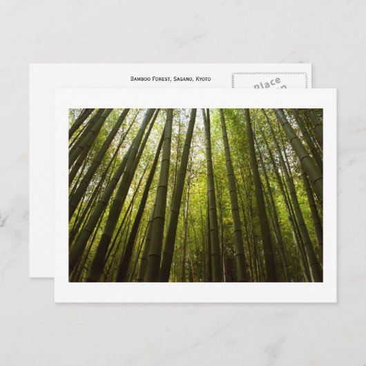 Bamboe Forest of Sagano, Briefkaart van Kyoto (Voorkant / Achterkant)