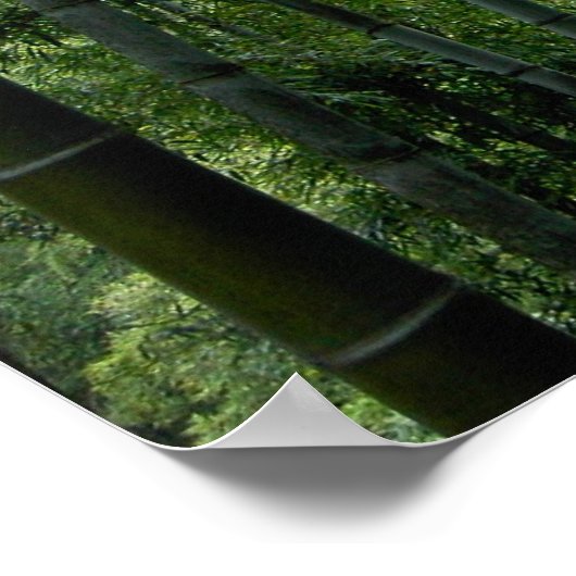Bamboe Forest Poster (Hoek)