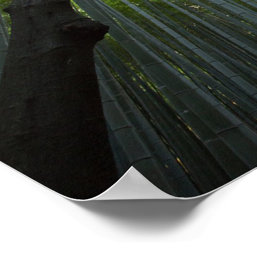 Bamboe Forest Poster (Hoek)