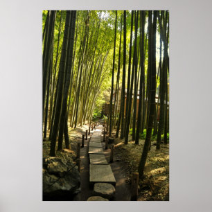 Bamboe Forest Poster