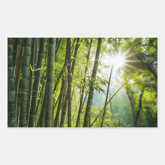 Bamboe Forest Rechthoekige Sticker (Voorkant)