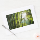 Bamboe Forest Rechthoekige Sticker (Envelop)