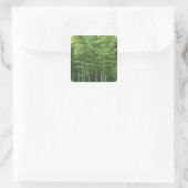 Bamboe Forest Vierkante Sticker (Tas)