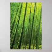 Bamboe Forest - Zen Art (artikel 1 van 3) Poster (Voorkant)