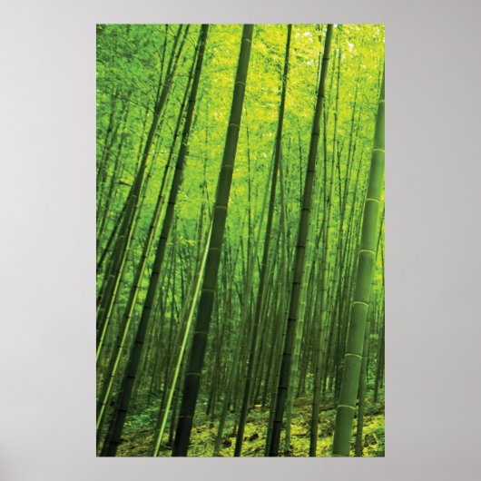 Bamboe Forest - Zen Art (artikel 1 van 3) Poster (Voorkant)