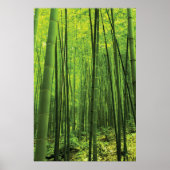 Bamboe Forest - Zen Art (artikel 2 van 3) Poster (Voorkant)