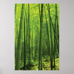 Bamboe Forest - Zen Art (artikel 2 van 3) Poster