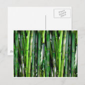 Bamboe groen plant natuur oerwoud briefkaart (Voorkant / Achterkant)