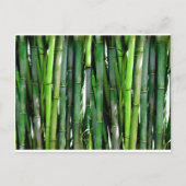 Bamboe groen plant natuur oerwoud briefkaart (Voorkant)