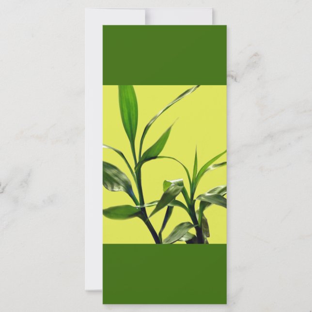 bamboe groene bladeren houden kalm (Voorkant)