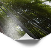 Bamboe Grove Deco Foto Afdruk (Hoek)