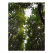 Bamboe Grove Deco Foto Afdruk (Voorkant)