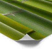 Bamboe Grove Poster (Hoek)