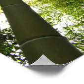 Bamboe Grove: Tokio, Japan Poster (Hoek)