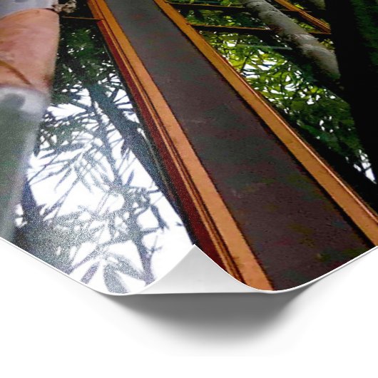 Bamboe kunst foto afdruk (Hoek)