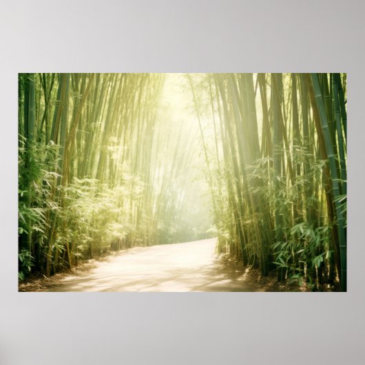 Bamboe Landschap Meditatie Serene Kalm Poster (Voorkant)