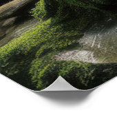 Bamboe Landschap Meditatie Serene Kalm Poster (Hoek)