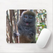 Bamboe lemur muismat (Met muis)
