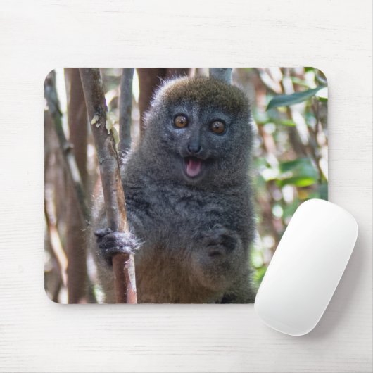 Bamboe lemur muismat (Met muis)