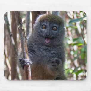 Bamboe lemur muismat