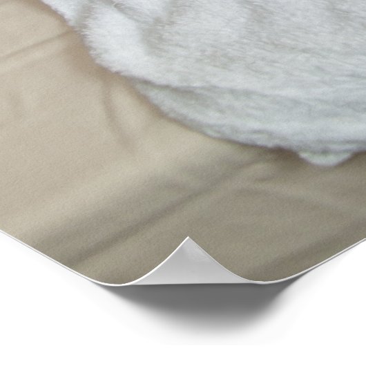 Bamboe massage op de ribben poster (Hoek)