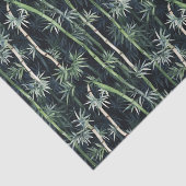 Bamboe Panda Tissue Papier (Detail)