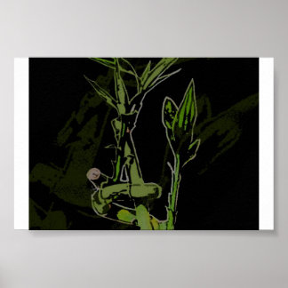 Bamboe Plant Poster
