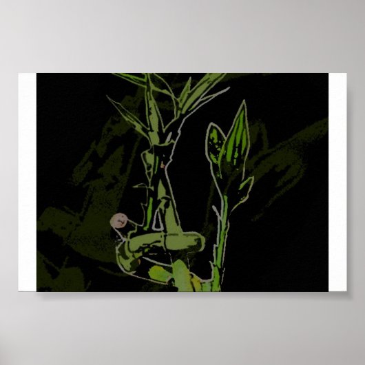 Bamboe Plant Poster (Voorkant)