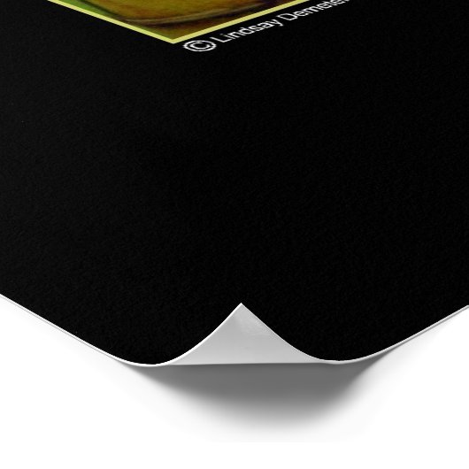 Bamboe Poster (Hoek)