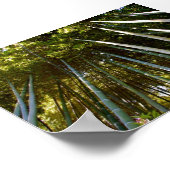Bamboe Poster (Hoek)