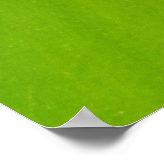 Bamboe Poster (Hoek)