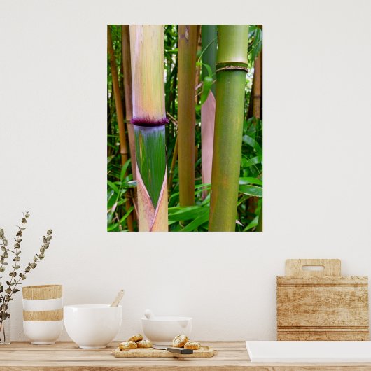 Bamboe Poster (Keuken)